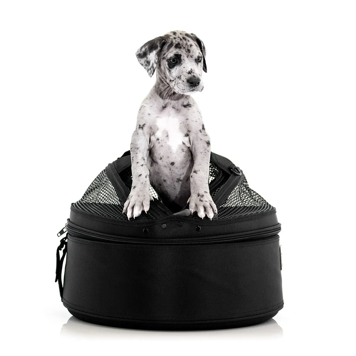 SleepyPod Pet Carrier: Black