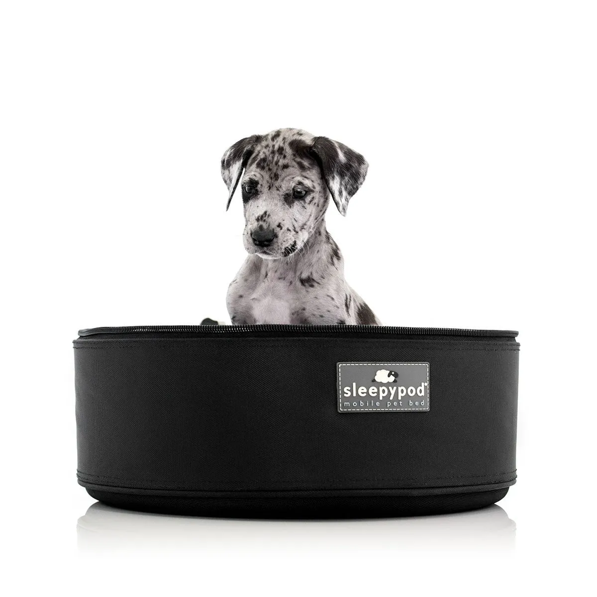 SleepyPod Pet Carrier: Black