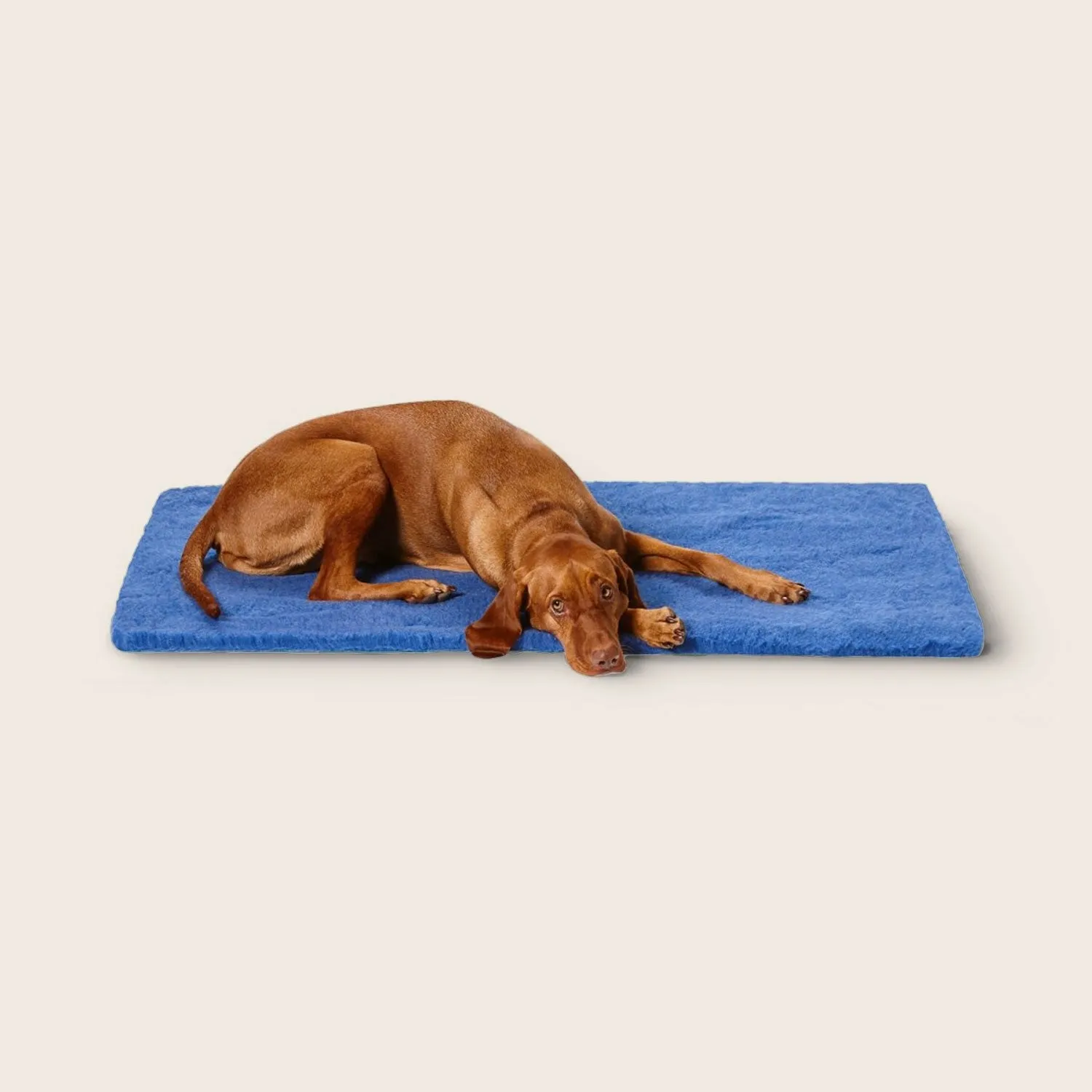 Stay Dry Mat