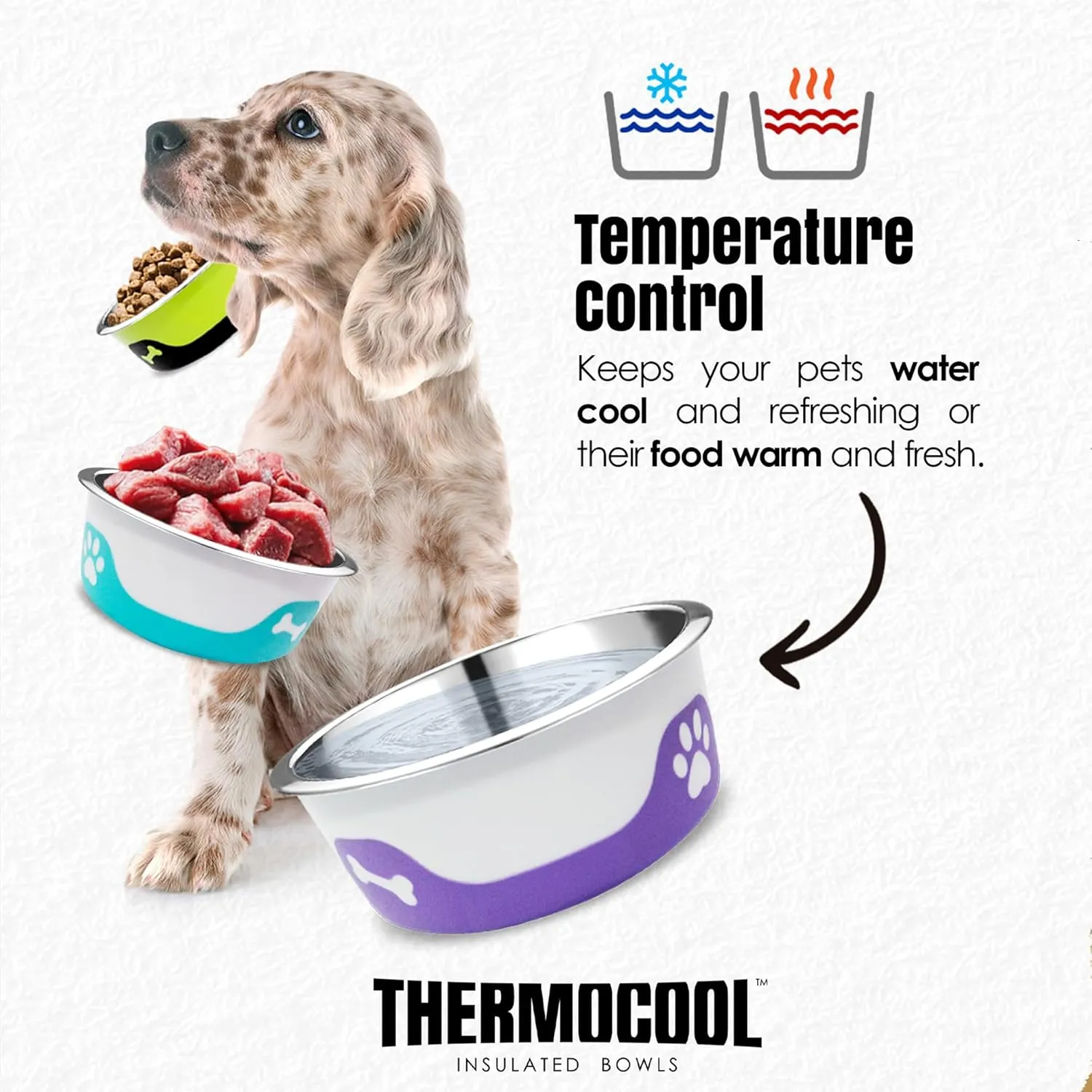 Thermocool Stainless Steel Dog Bowls, Non Slip, No Spill Insulated Dog Bowl, Keeps Food Warm & Water Cold for Dogs, Dishwasher Safe (Light Purple, Small 8 Oz)