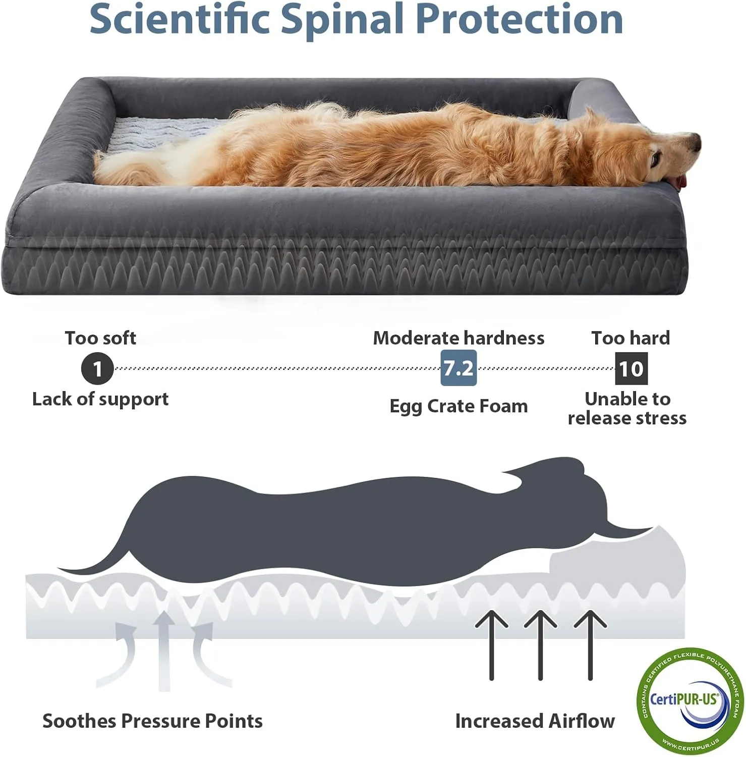 WNPETHOME Orthopedic Dog Beds Large Sized Dog, Extra Large Waterproof Dog Couch with Removable Washable Cover & Anti-Slip Bottom, XL Dog Crate Bed with Sides(Dark Gery)